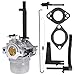 DSkoiph DSparts Carburetor Fit for Briggs & Stratton 1450 Series Engine Craftsman Nikki 793779 Carb - Image 2