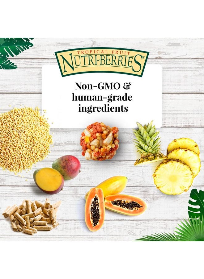 لافيبيرز طعام الطيور الأليفة LAFEBER'S Tropical Fruit Nutri-Berries، مصنوع من مكونات غير معدلة وراثيًا ومناسبة للبشر، للببغاوات، 10 أونصة  - Image 4