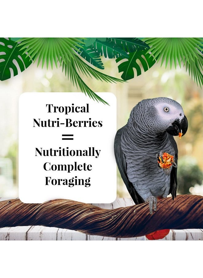 لافيبيرز طعام الطيور الأليفة LAFEBER'S Tropical Fruit Nutri-Berries، مصنوع من مكونات غير معدلة وراثيًا ومناسبة للبشر، للببغاوات، 10 أونصة  - Image 2
