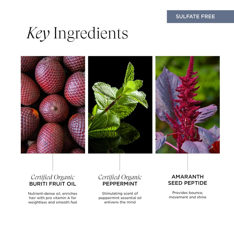 Intelligent Nutrients InspiraMint Shampoo, Invigorating Organic Mint Daily Shampoo for Fine and Oily Hair, Balancing, Refreshing, Color-Safe, Vegan, 32 Fl Oz - Image 4