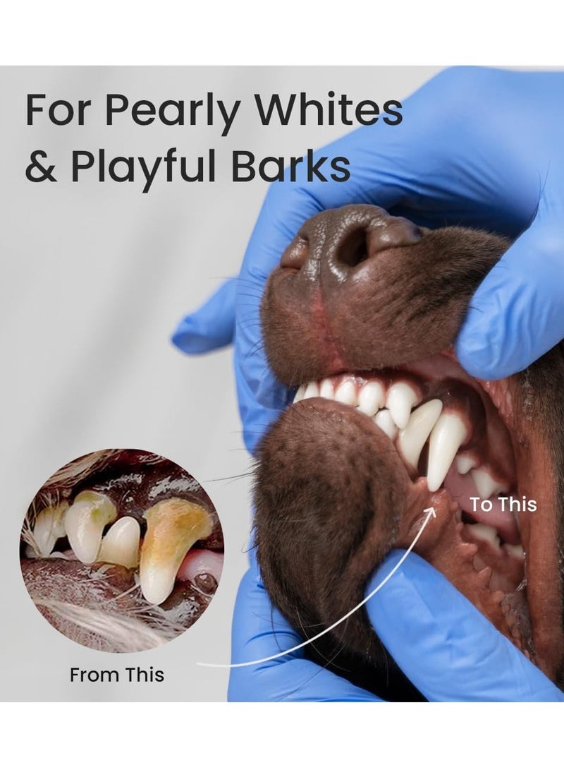 Bioline Tooth Paste Beef Flavor For Dogs 100g - Image 3