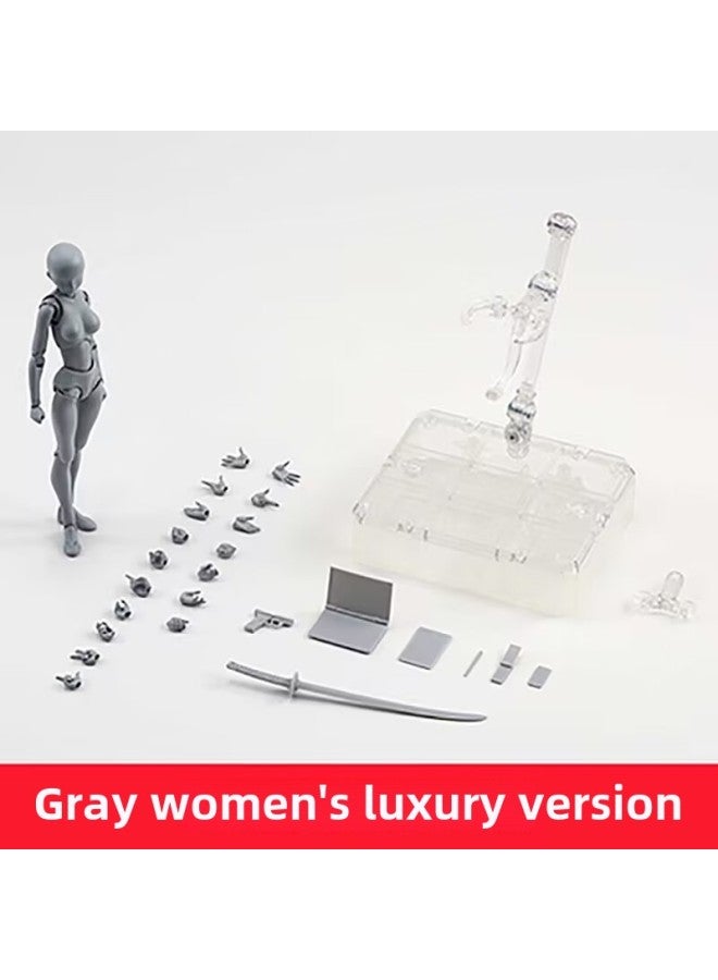 SHF Human Body Model Plain Body Hand Figure Freeze-frame Movable Drawing Painting Art Cartoon Sketch Men And Women-Color:Shf Gray Female  - Image 1