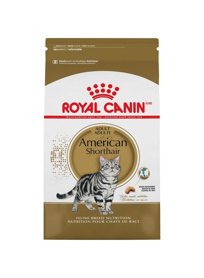 رويال كانين طعام جاف للقطط البالغة من سلالة American Shorthair، كيس 5.5 رطل - Image 1