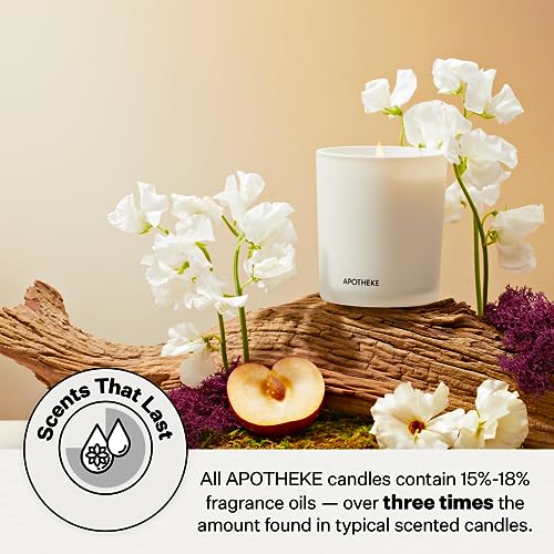 Apotheke Signature Scented Candles for Home, White Vetiver - 10.5 oz - Soy Wax, Non Toxic, Large Jar White - Luxury Candle Gifts for Women & Men - Sandalwood, Eucalyptus, and Vetiver - Image 5