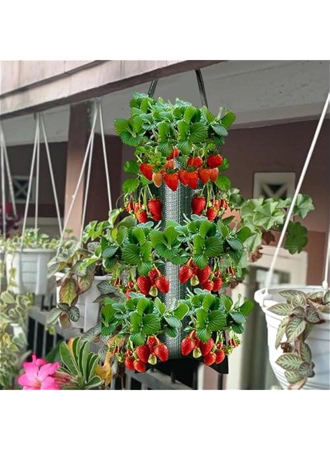 Generic 8 Hole Hanging Grow Bags for Tomato Chili Herb Strawberry,Upside Down Planter Tomato Herb Strawberry Grow Bags | Hanging Aeration Fabric Strawberry Planter Bags for Growing Herbs Flowers  - Image 3
