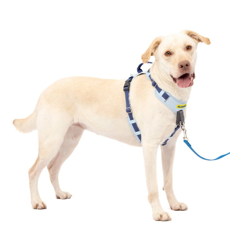 PetSafe Easy Walk Comfort No-Pull Dog Harness - Better Walk Training Harness - Full Body Padded Design - Durable Fabric - 5 Point Adjustable Fit - Everyday Leash Training - Blue - Large - Image 1