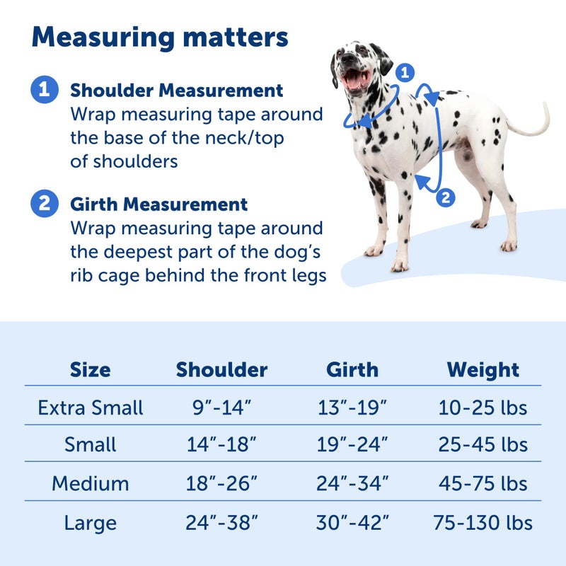 PetSafe Easy Walk Comfort No-Pull Dog Harness - Better Walk Training Harness - Full Body Padded Design - Durable Fabric - 5 Point Adjustable Fit - Everyday Leash Training - Blue - Large - Image 5