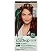 Clairol Root TouchUp by Natural Instincts Permanent Hair Dye 4R Dark Auburn Hair Color Naturally Blended Roots with 100 Gray Coverage Vegan Ammonia Free Formula Pack of 1 - Image 2