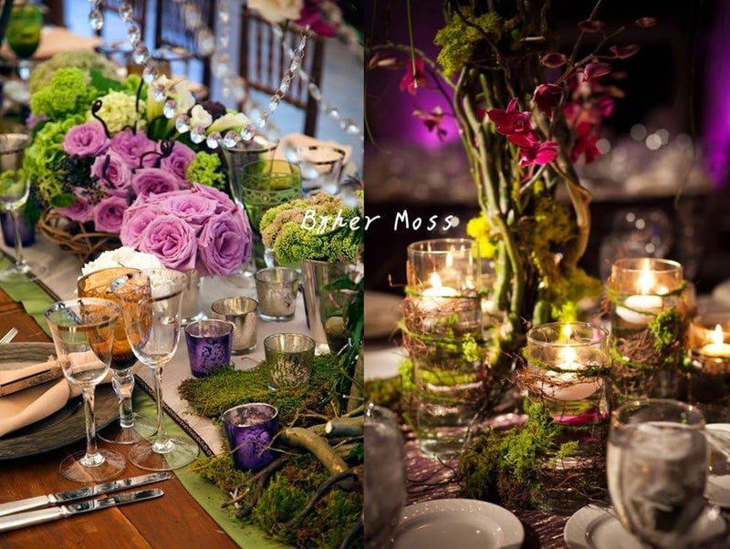 BYHER 92926 طحلب الغابة المحفوظ، أخضر طازج (2 أونصة) - Image 4
