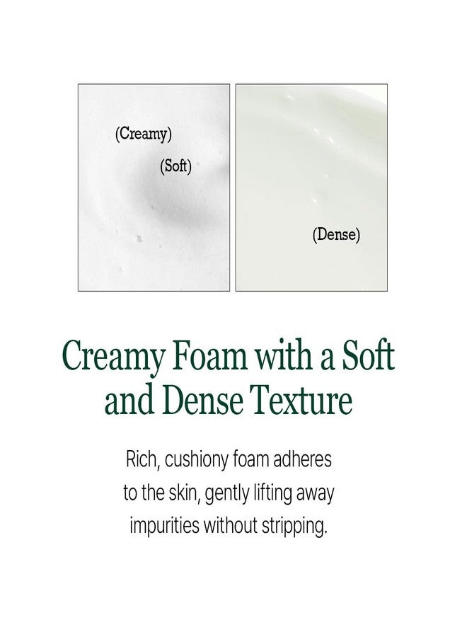 ROUND LAB Pine Calming Cica Cleanser, Refreshing Face Wash for Acne-Prone Skin, Gentle Foam Facial Cleanser for Deep Cleansing and Pore Care, Suitable for Sensitive Skin, Korean Skin Care - Image 5