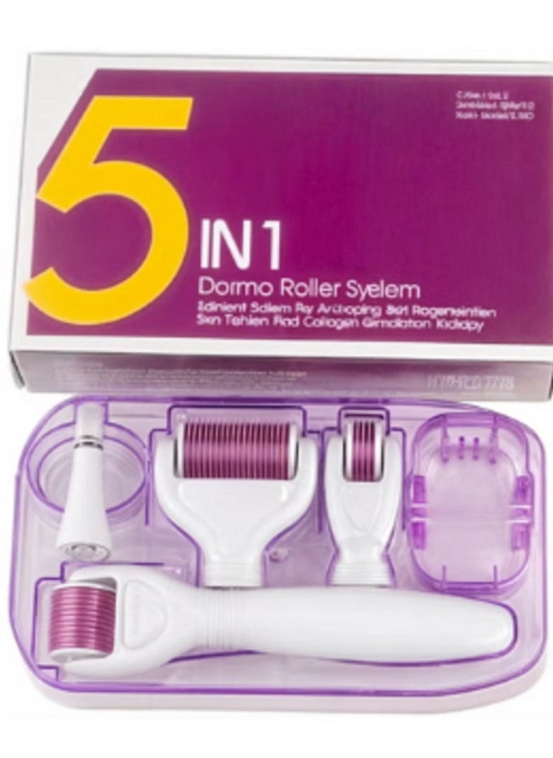 Derma Roller - Derma Roller Tool 5-in-1 Hair And Skin Care - Image 1