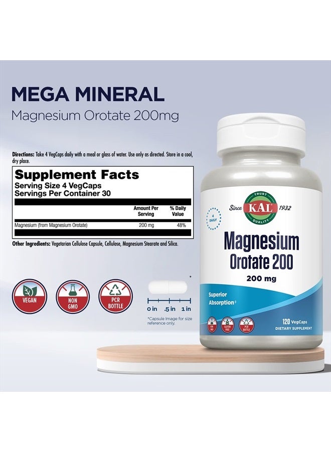 KAL Magnesium Orotate 200 mg, Superior Absorption Formula, Chelated Magnesium for Healthy Bones, Teeth, Nerve and Muscle Function, Vegetarian, Non-GMO, Gluten Free, 30 Servings, 120 VegCaps - Image 2