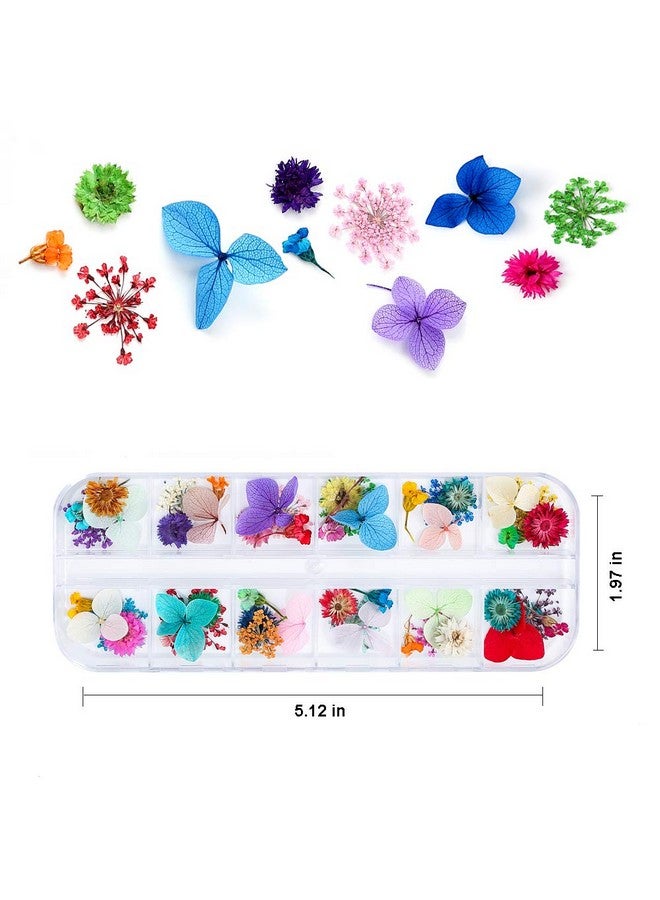 iFancer 108 Pcs Dried Flowers For Resin Nail Art 62 Colors 3D Dry Flowers For Nails 2 Boxes Small Tiny Dried Flowers For Nail Art Little Pressed Real Natural Flower Nail Art Design Decoration Supplies - Image 5
