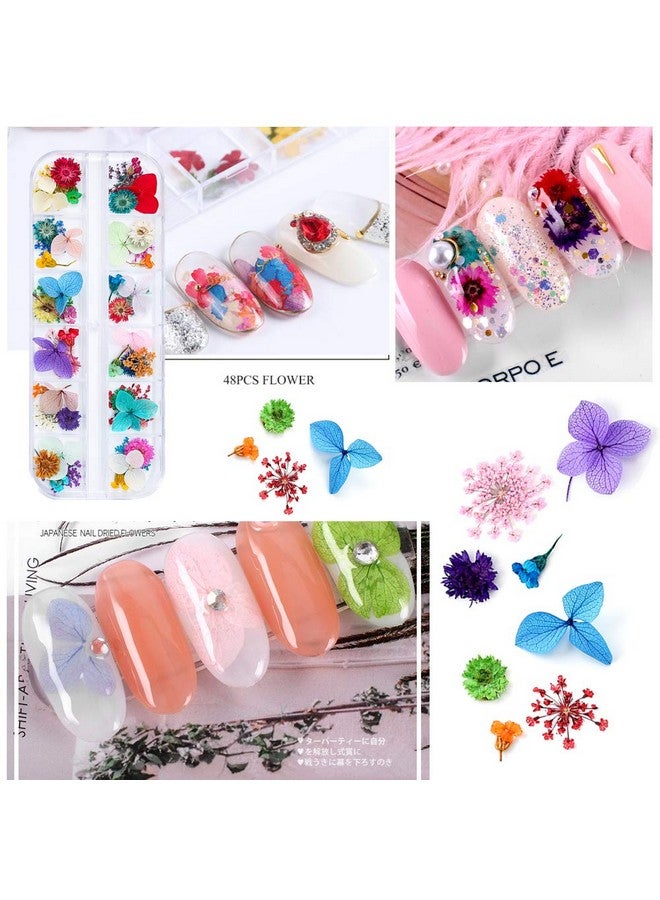 iFancer 108 Pcs Dried Flowers For Resin Nail Art 62 Colors 3D Dry Flowers For Nails 2 Boxes Small Tiny Dried Flowers For Nail Art Little Pressed Real Natural Flower Nail Art Design Decoration Supplies - Image 2