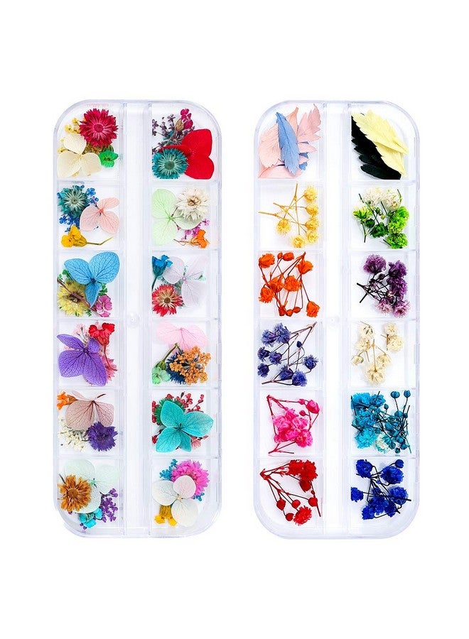 iFancer 108 Pcs Dried Flowers For Resin Nail Art 62 Colors 3D Dry Flowers For Nails 2 Boxes Small Tiny Dried Flowers For Nail Art Little Pressed Real Natural Flower Nail Art Design Decoration Supplies - Image 1