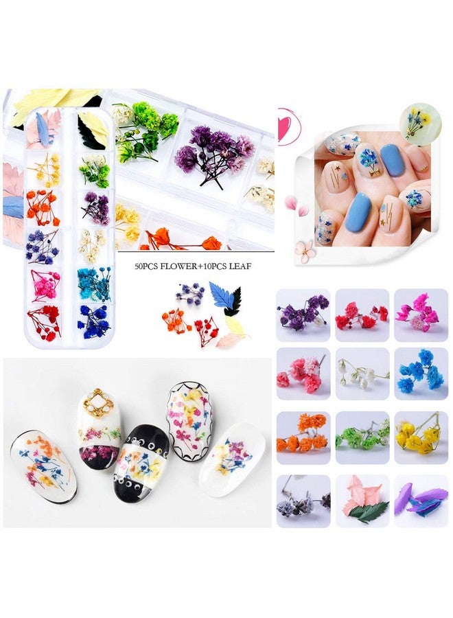 iFancer 108 Pcs Dried Flowers For Resin Nail Art 62 Colors 3D Dry Flowers For Nails 2 Boxes Small Tiny Dried Flowers For Nail Art Little Pressed Real Natural Flower Nail Art Design Decoration Supplies - Image 3
