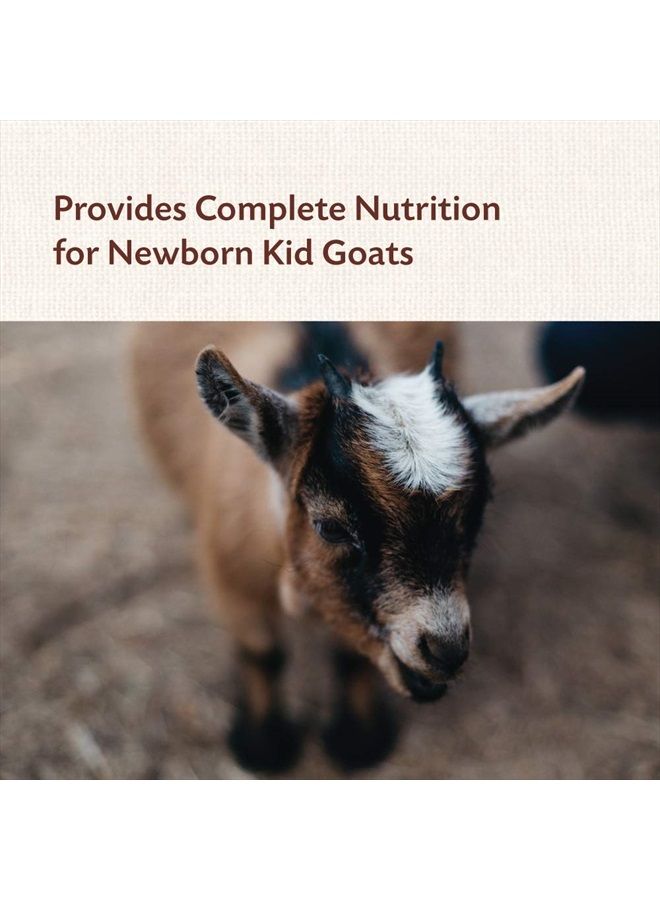 Manna Pro مكمل الكولاستروم لحديثي الولادة من الماعز | مدعم بالفيتامينات والمعادن | يساعد في تعزيز النمو الصحي | 8 أونصات - Image 4