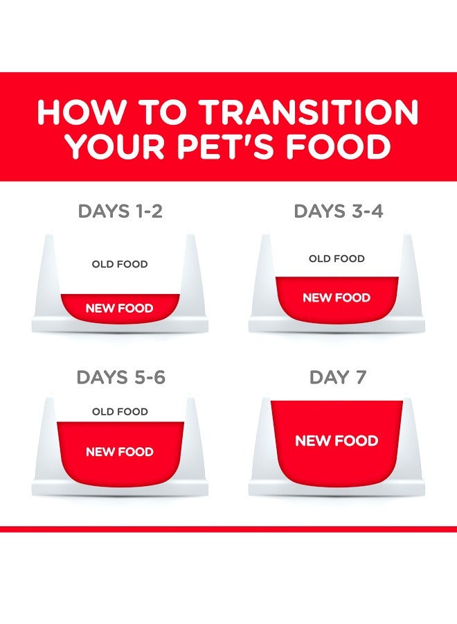 Hills قطة بالغة معقمة مع دجاج - 10 كجم - Image 3