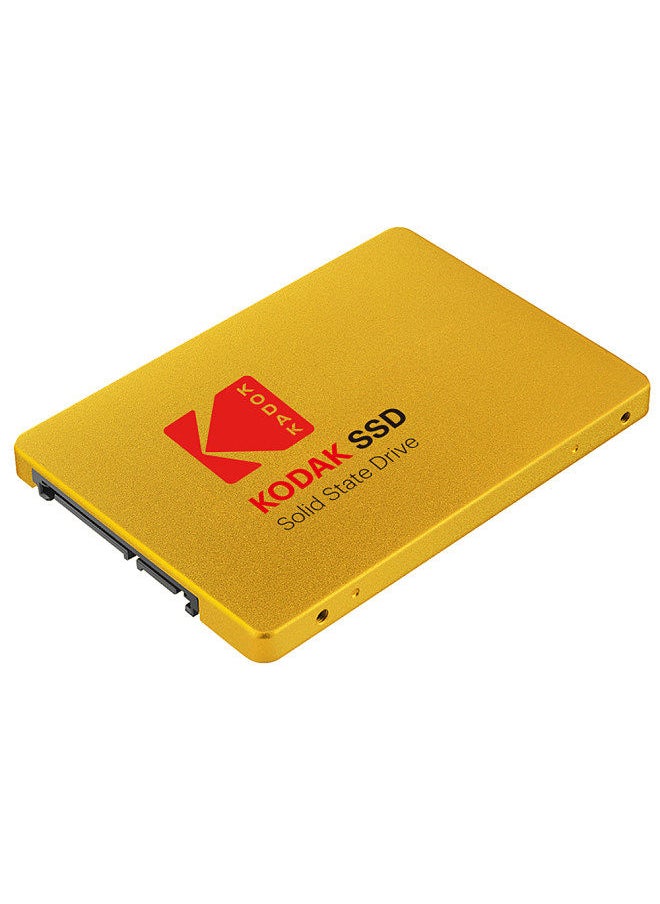 Kodak - X100 Solid State Drive SSD SATA III 120GB High Speed for PC Laptop - Image 1