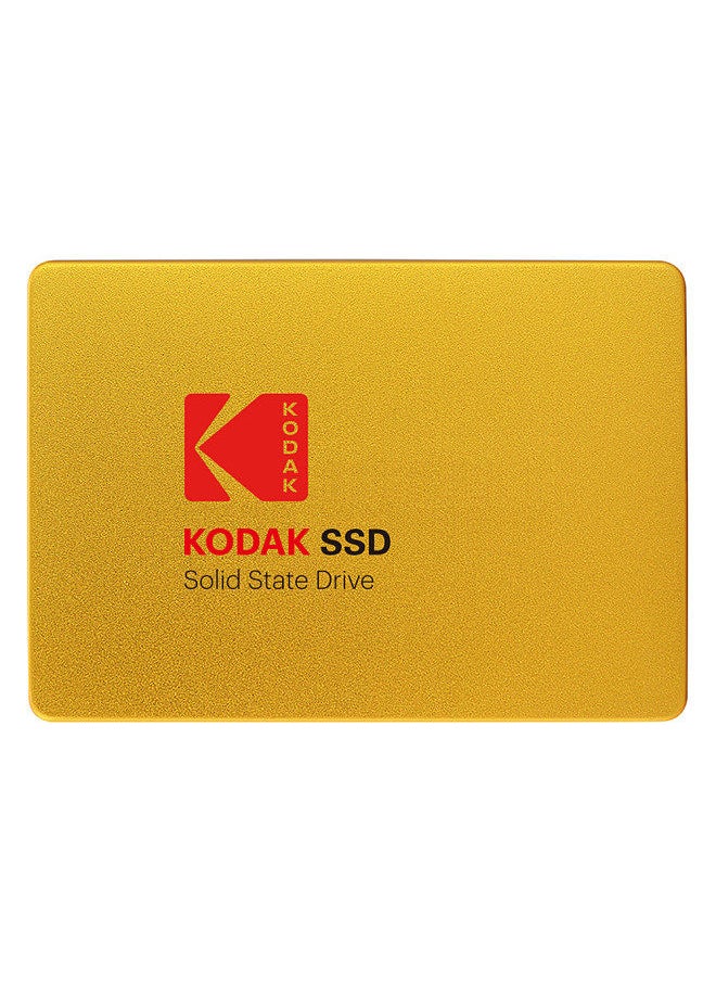 Kodak - X100 Solid State Drive SSD SATA III 120GB High Speed for PC Laptop - Image 1