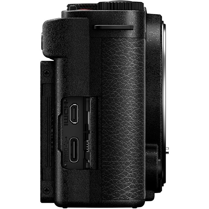 rayihni LUMIX S9 Mirrorless Camera, 24.2MP Full Frame with Phase Hybrid AF, New Active I.S. Technology - DC-S9BODYK (Black) | 24.2MP Full-Frame CMOS, 6k/30p Open Gate Video, Phase Hybrid Af, 5-Axis Dual I.s.2 Stabilization, Body-Only - Image 3