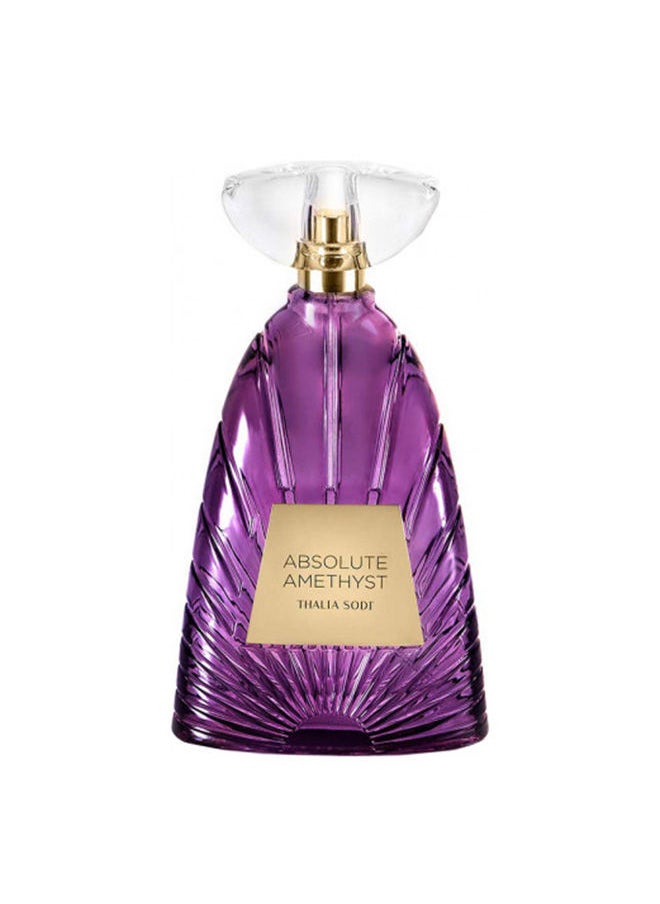 Absolute Amethyst Women EDP 100Ml - pzsku/ZC662C1A6BFF8406E765CZ/45/_/1694065456/882c1de2-68e5-4744-b8a0-25f97cf8ac15