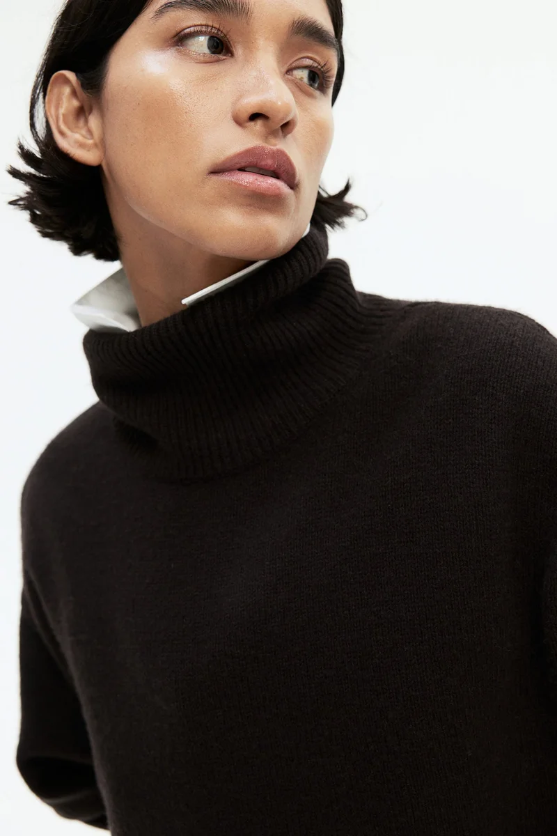 اتش اند ام Cashmere-Blend Turtle Neck Jumper