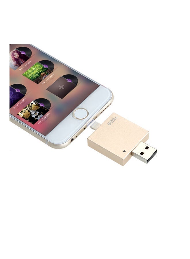 NIBEMINENT 16G Portable U Disk Gold - Image 5