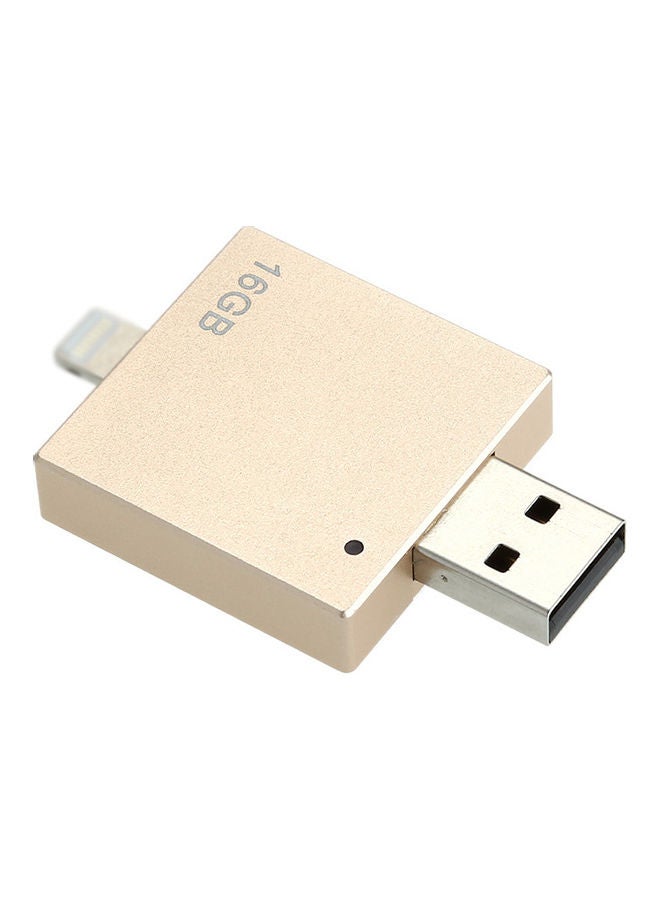 NIBEMINENT 16G Portable U Disk Gold - Image 1