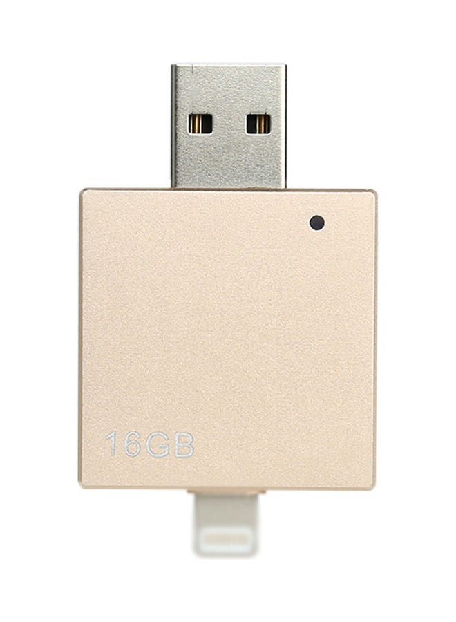NIBEMINENT 16G Portable U Disk Gold - Image 3