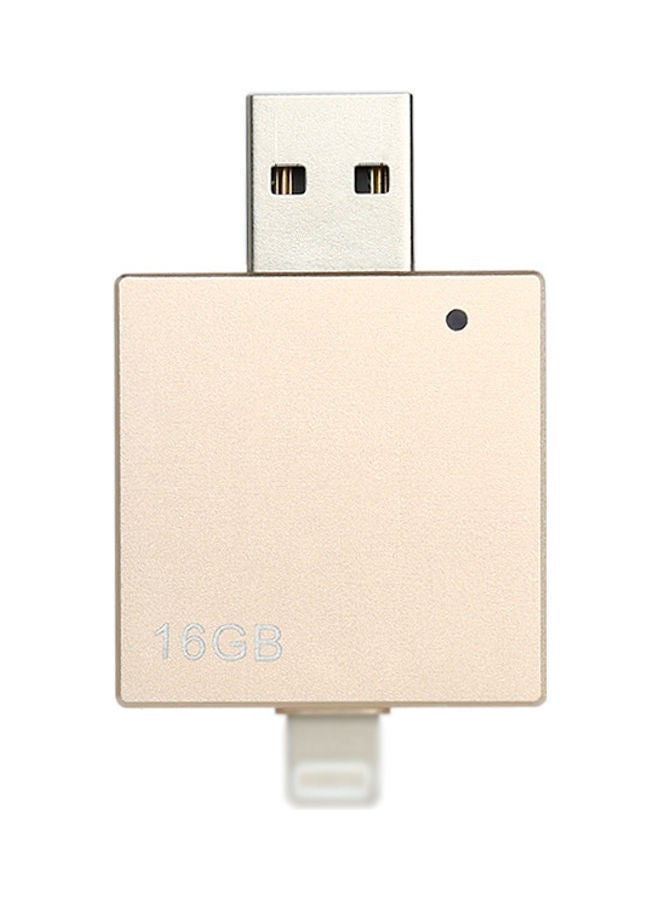 NIBEMINENT 16G Portable U Disk Gold - Image 2