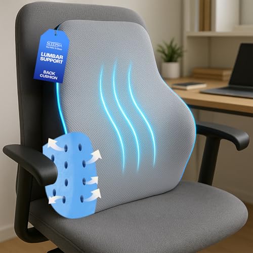 Sleepsia Back Support for Office Chair with 1 Year Warranty Lumbar Support Pillow for Office Chair for Back Pain, Car Seat, Memory Foam (Grey/Black Lumbar Back Support (Gel Ventilated)) - Image 1