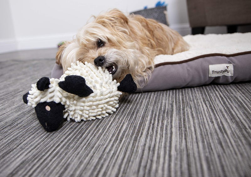goDog Fuzzy Wuzzy Lamb Squeaky Plush Dog Toy, Chew Guard Technology - Assorted, Small - Image 4