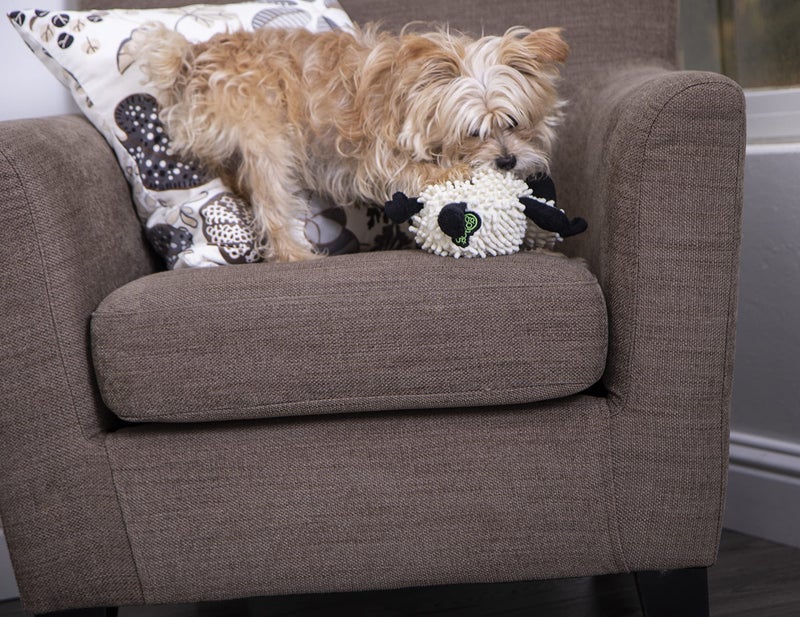 goDog Fuzzy Wuzzy Lamb Squeaky Plush Dog Toy, Chew Guard Technology - Assorted, Small - Image 5
