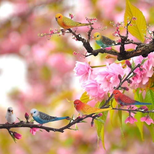 JOKFEICE Birds Figures - 6pcs Realistic ParrotToys Animal Figures Set - Simulated Plastic Animal Models Toys Kids Educational Toys for Boys and Girls - Image 5