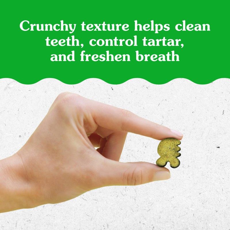 Greenies Feline Adult Dental Cat Treats, Oven Roasted Chicken Flavor, 9.75 oz. Tub - Image 5