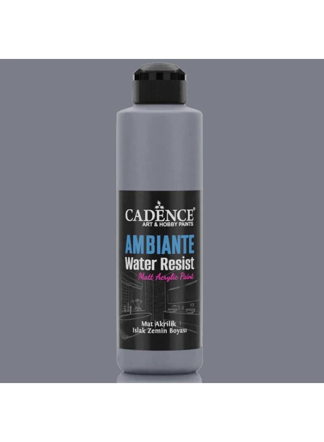 Ambiate Water Resist Matt Acrylic Dark Gray - 250ML