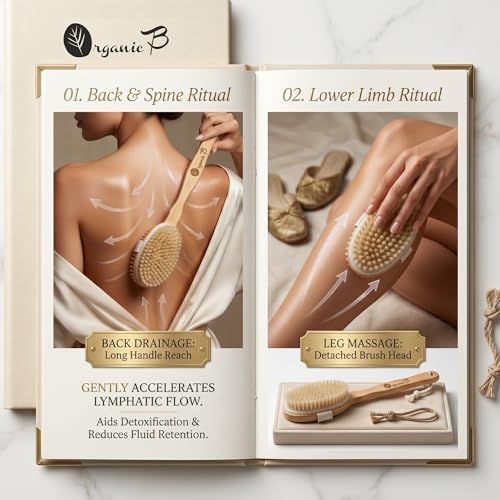 Organic B Wooden Body Brush – Long Removable Handle Back Brush for Bathing, Body Scrubber for Women and Men, Dry Brushing for Lymphatic Drainage, Natural Bathing Scrubber for Healthy Skin - Image 3
