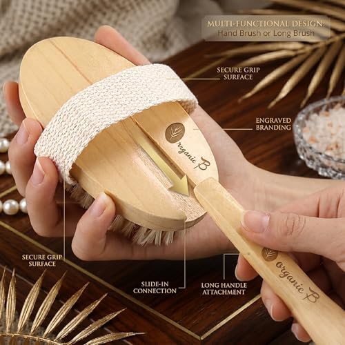 Organic B Wooden Body Brush – Long Removable Handle Back Brush for Bathing, Body Scrubber for Women and Men, Dry Brushing for Lymphatic Drainage, Natural Bathing Scrubber for Healthy Skin - Image 2