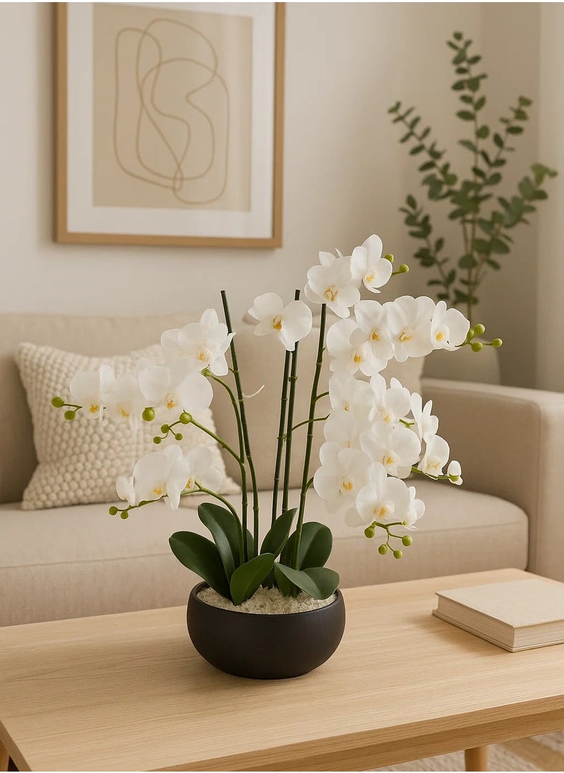 LOFT ORCHID,FLOWER POT,D54XH65CMS,BLACK-CEMENT-155640A  - Image 1