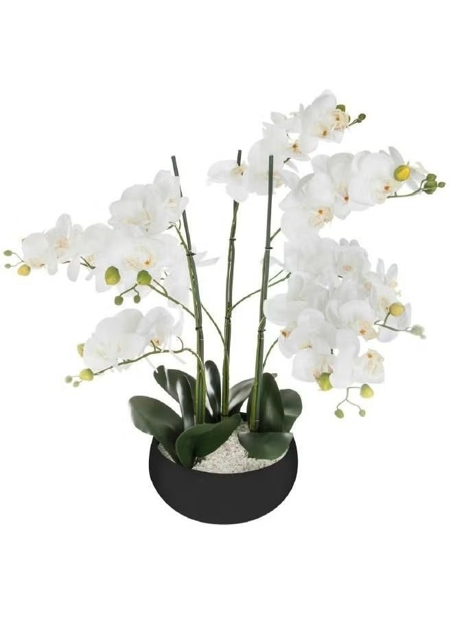LOFT ORCHID,FLOWER POT,D54XH65CMS,BLACK-CEMENT-155640A  - Image 2