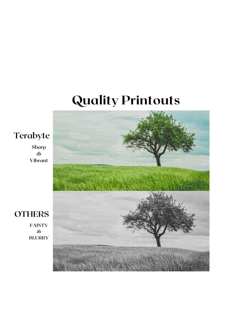 Terabyte GPR22/NPG32/CEXVI8 CANNON COMPATIBLE TONER TERABYTE - Image 2