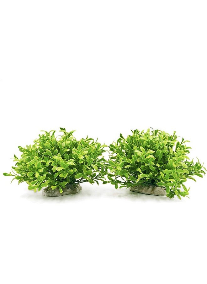 VAYINATO VAYINATO® Green Short Bush Aquarium Plastic Decoration Plants Pack of 2, Artificial Plant by Petzlifeworld  - Image 1
