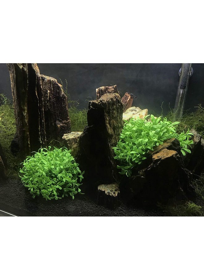 VAYINATO VAYINATO® Green Short Bush Aquarium Plastic Decoration Plants Pack of 2, Artificial Plant by Petzlifeworld  - Image 5