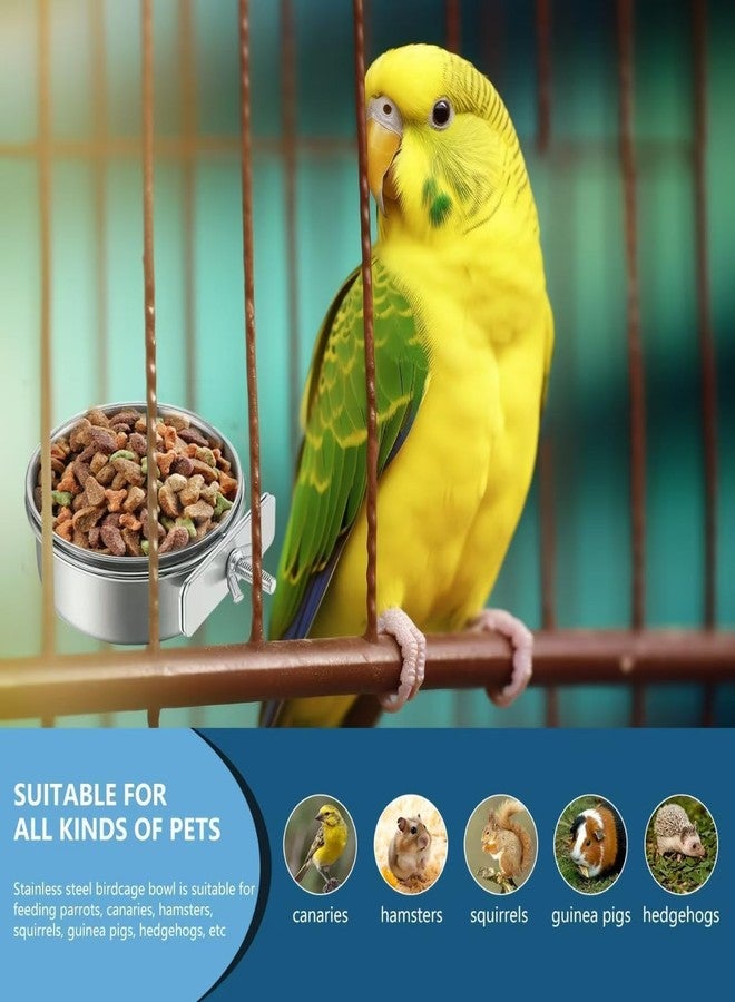 RoverPets وعاء طعام وماء للحيوانات الأليفة من روفر بيتس مع حامل مشبك، مصنوع من الفولاذ المقاوم للصدأ، وعاء معلق للكلاب والطيور والببغاوات والقطط والأرانب (التصميم - 3، وعاء الطيور - وعاء معلق سعة 250 مل) - Image 4