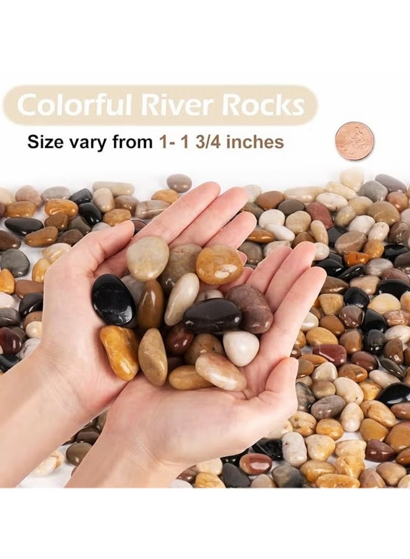 Alrassi Polished Natural Gravel 10 kg – Multicolored for Plant Decoration, Aquarium, Gardens, and Landscaping - Image 5