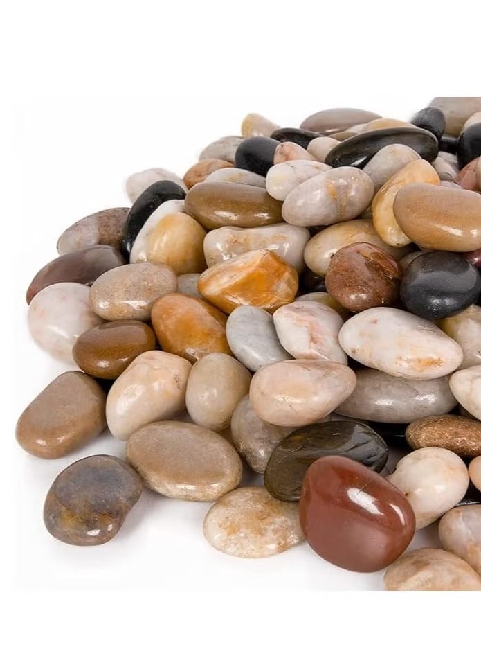 Alrassi Polished Natural Gravel 10 kg – Multicolored for Plant Decoration, Aquarium, Gardens, and Landscaping - Image 1