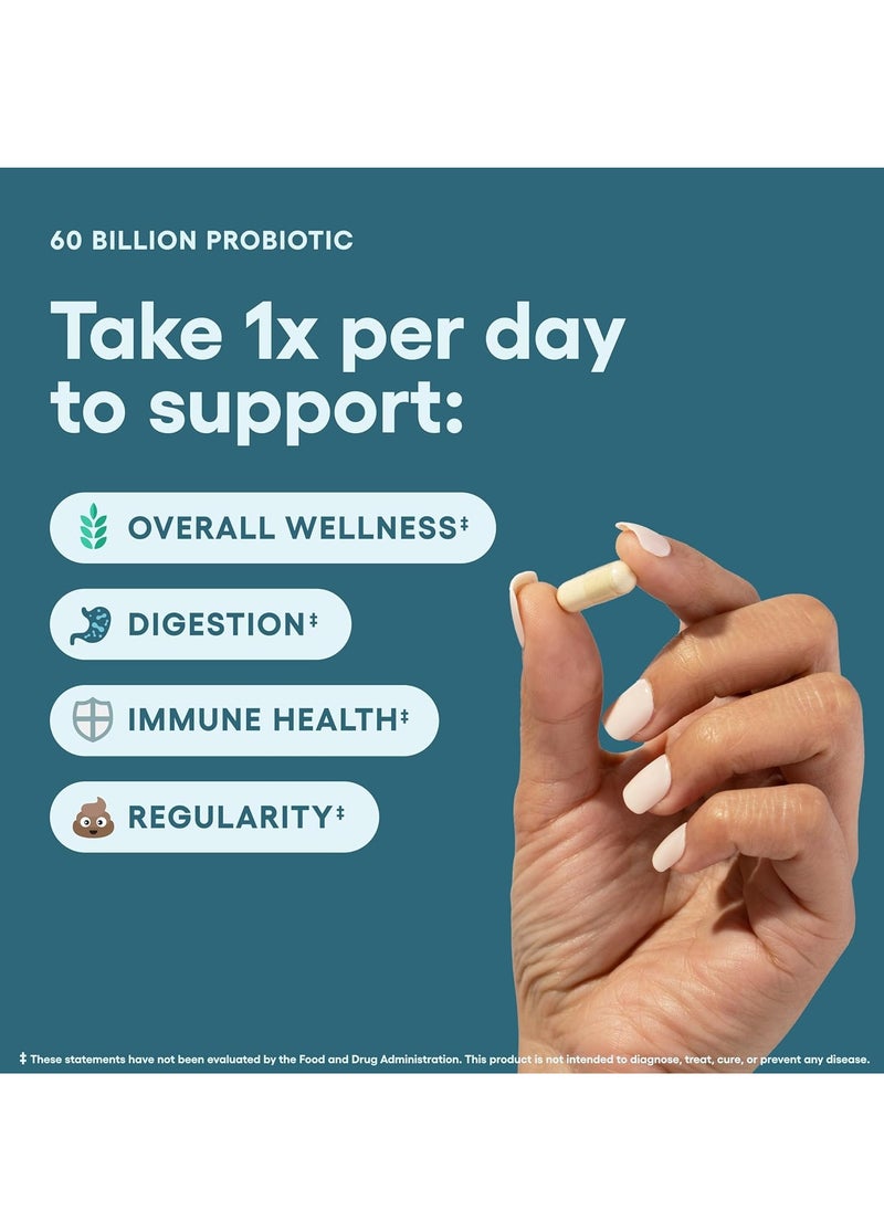 Probiotics 60 Billion CFU - 10 Strains + Organic Prebiotics - Immune, Digestive & Gut Health - Supports Occasional Constipation, Diarrhea, Gas & Bloating - for Women & Men - pzsku/ZC66F380D9D083C042E91Z/45/_/1732162809/da296699-84fc-436a-8524-d26200b5f8e3