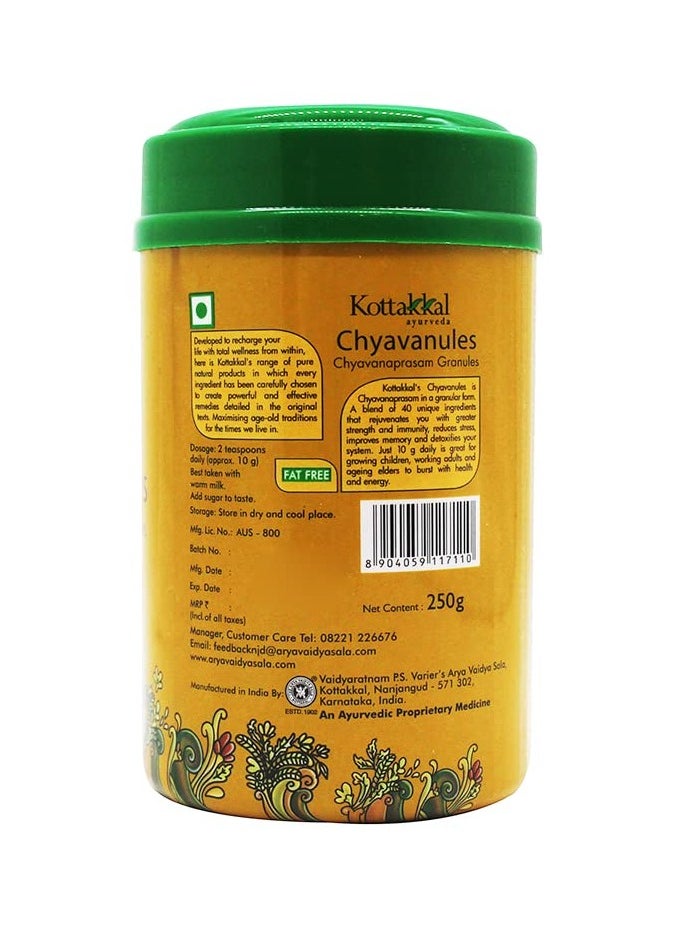 Kottakkal ayurveda Chyavanules (Granules) 250GM  - Image 2