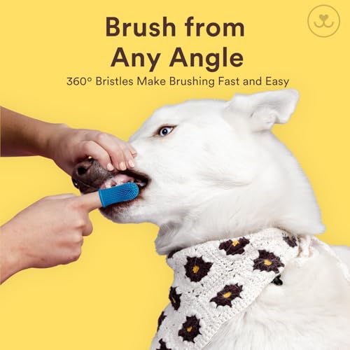 Jasper Large Dog Toothbrush, 360 Degree Pet Tooth Brushing Kit, Cat Toothbrush, Canine Dental Care & Teeth Cleaning Kit, Pet Finger Tooth Brush, Use with Dog Toothpaste, 2-Pack Navy-Blue Large - Image 4